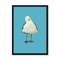 Framed seagull bird art print on a blue background with black frame