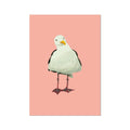 Painted seagull art print on a coral pink background, coastal bird wall art