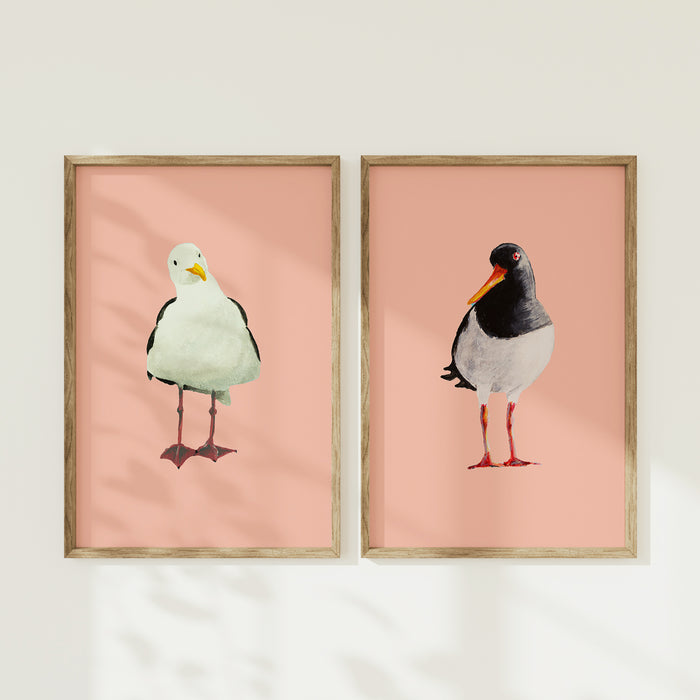 Two framed illustrations of birds on a pink background