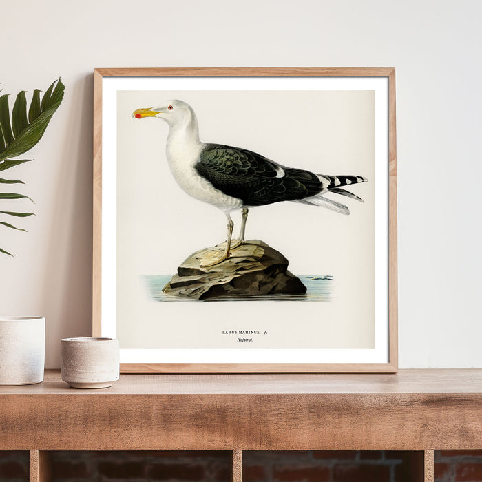 Framed artwork of a seagull standing on a rock, with a beige frame and a white backgroundand a wooden shelf.