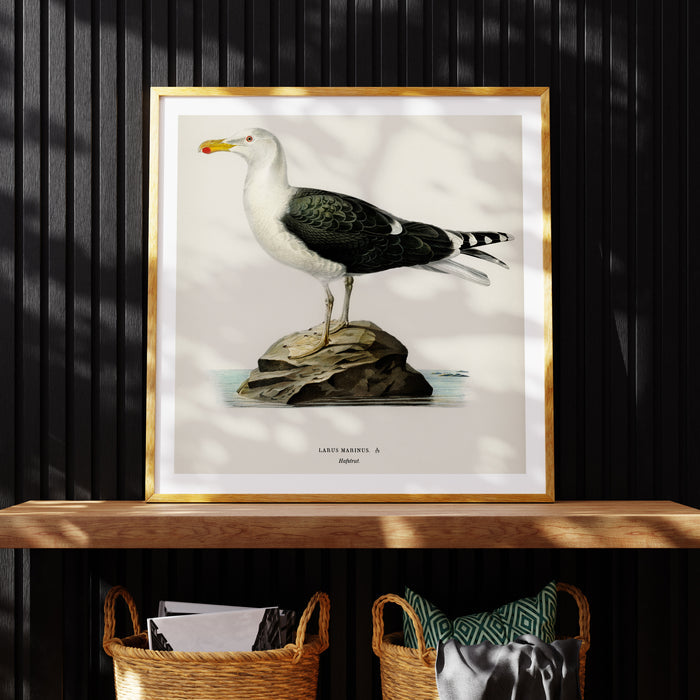 Framed artwork of a seagull standing on a rock, with a beige frame and a white background.