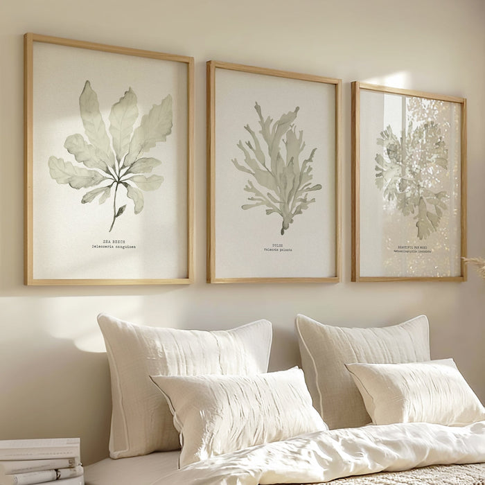 Bedroom with a set of three framed seaweed paintings - botanical prints on the wall.
