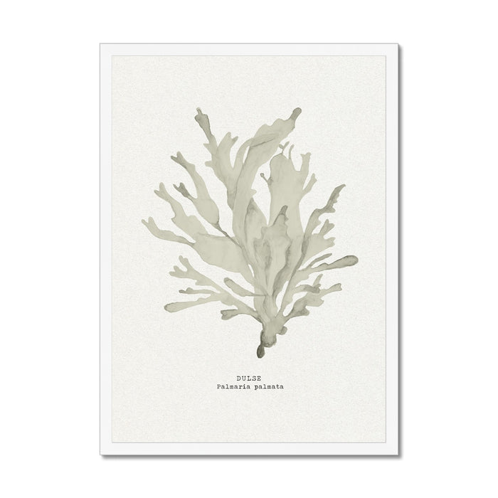 Seaweed painting on a white background