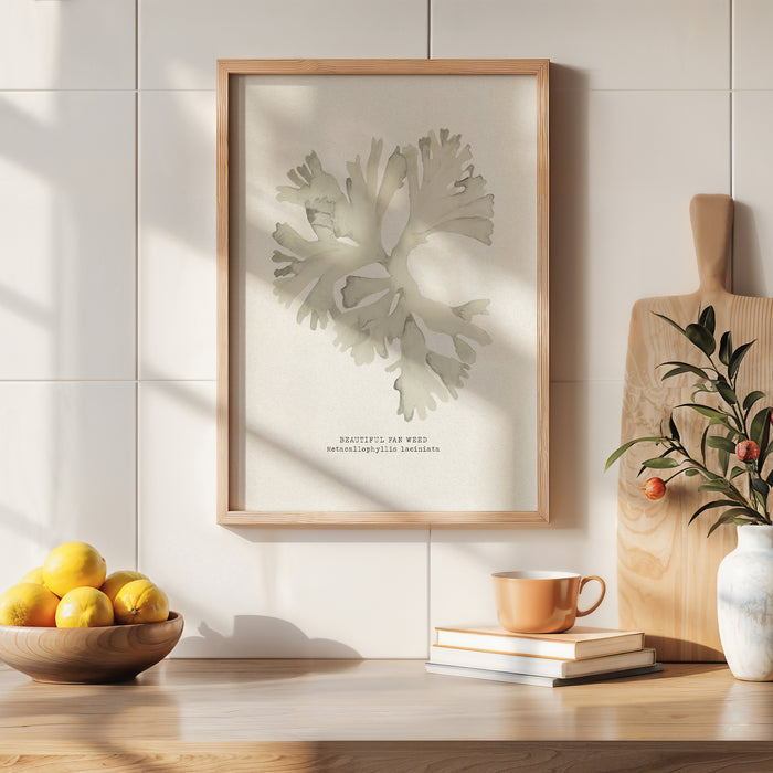 Framed seaweed painting in natural colours on a wall with a bowl of lemons, books, and a vase in the foreground.