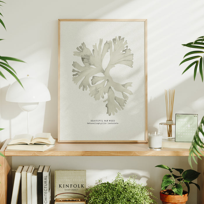 Framed artwork of seaweed on a wooden shelf with books and plants.