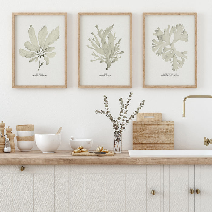 Kitchen with wooden countertop, decor items, and a set of three framed seaweed prints. Botanical art prints on the wall.