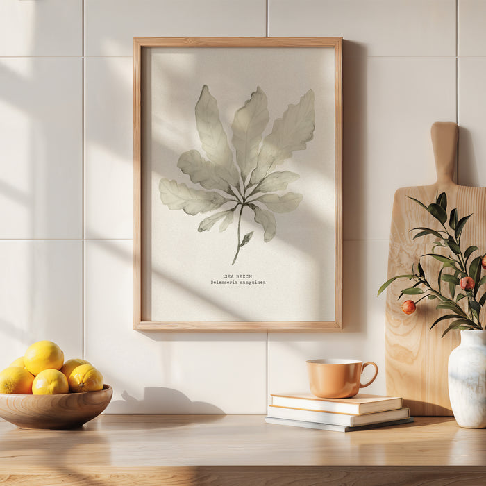 Sea beech seaweed painting in the kitchen. Framed botanical print on a wall with a table and decorative items below