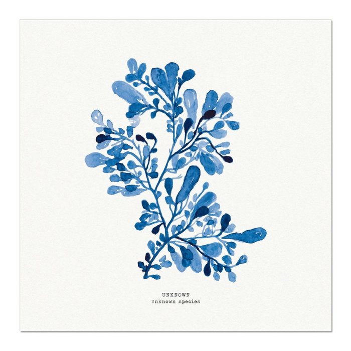 A square seaweed art print in indigo.