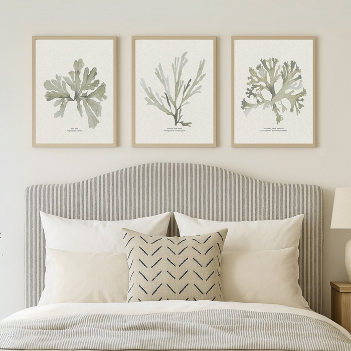 Set of three green seaweed prints styled above a bed in a coastal bedroom, calming botanical wall art for a relaxed sleeping space.
