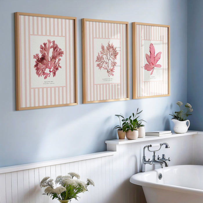 Set of three striped pressed seaweed prints on the wall in a bathroom.