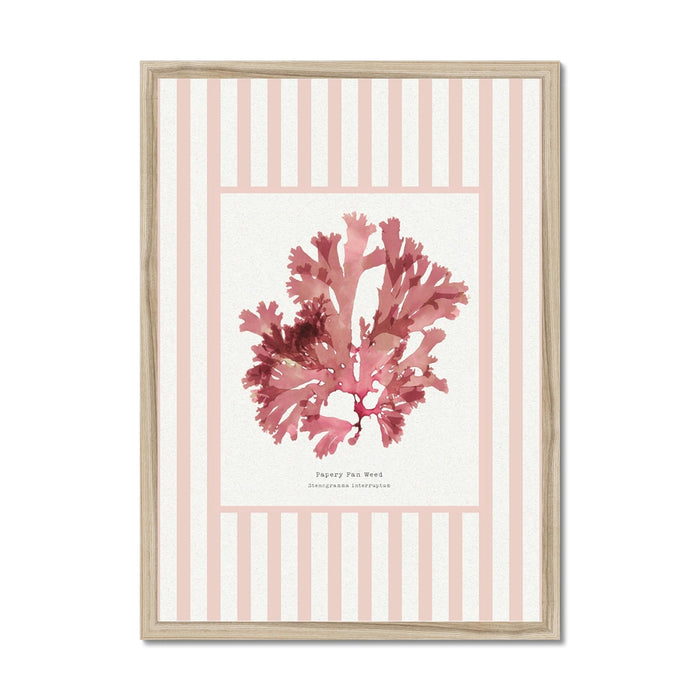 Framed artwork of pink seaweed on a striped background