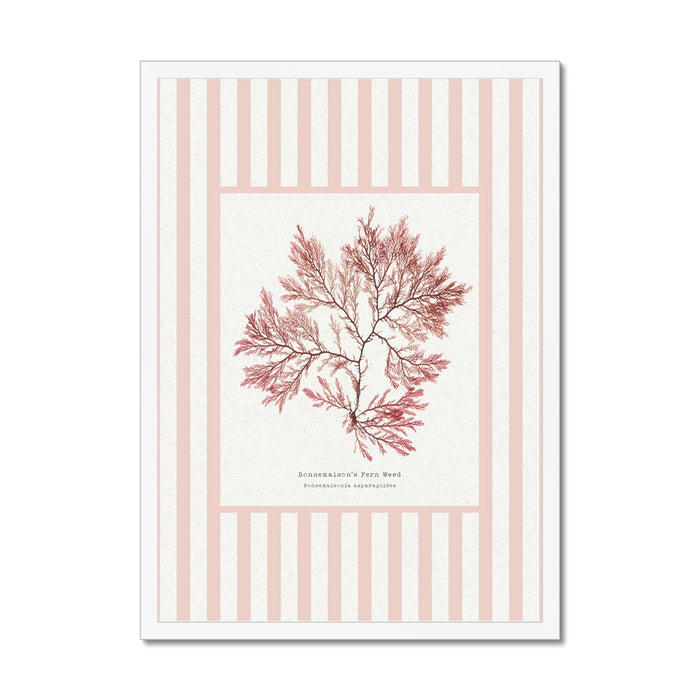 Framed artwork of pink seaweed on a striped background