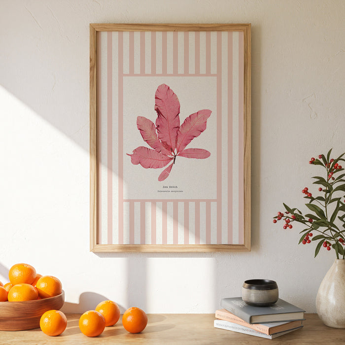 Framed pressed seaweed print on wall in kitchen. Seaweed print with striped background.