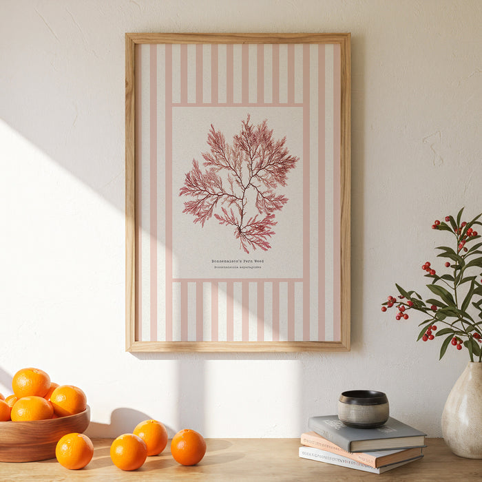 Framed pressed seaweed print on wall in kitchen. Seaweed print with striped background.