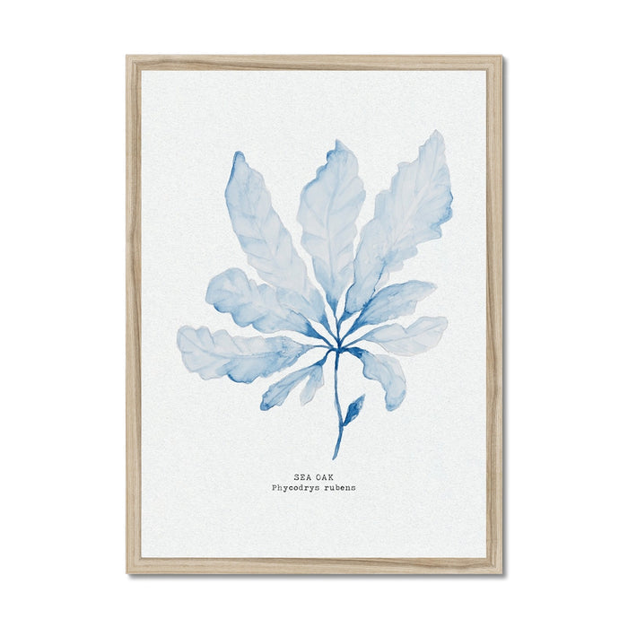 A framed art print featuring a blue watercolour painting of seaweed with a simple, elegant design, set in a light wooden frame.