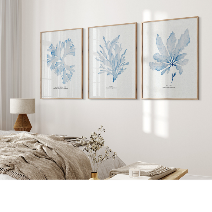 A set of three framed blue seaweed prints displayed on a wall above a bed in a cozy bedroom setting.
