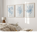 A set of three framed blue seaweed prints displayed on a wall above a bed in a cozy bedroom setting.