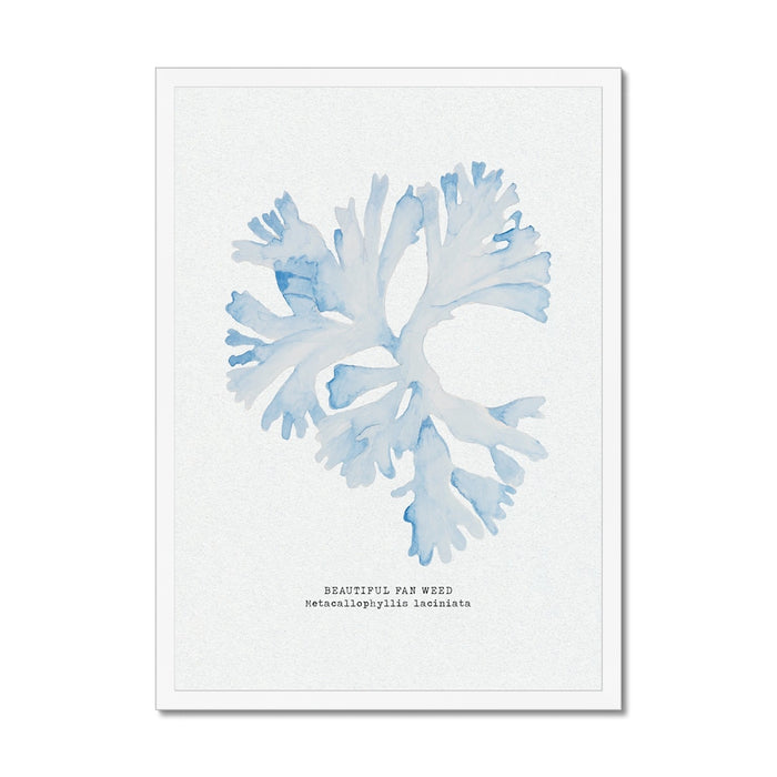 A framed art print featuring a blue watercolour painting of seaweed with a simple, elegant design, set in a light wooden frame.