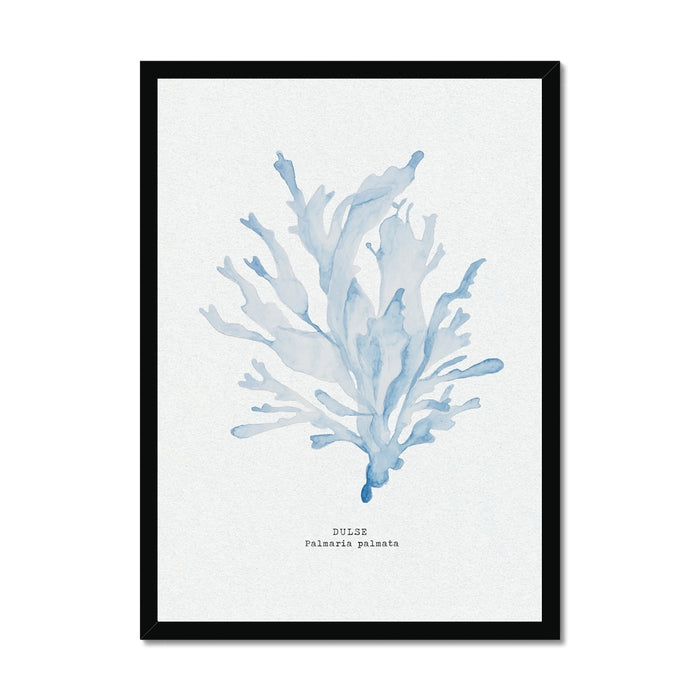 A framed art print featuring a blue watercolor painting of seaweed with a simple, elegant design, set in a black wooden frame.