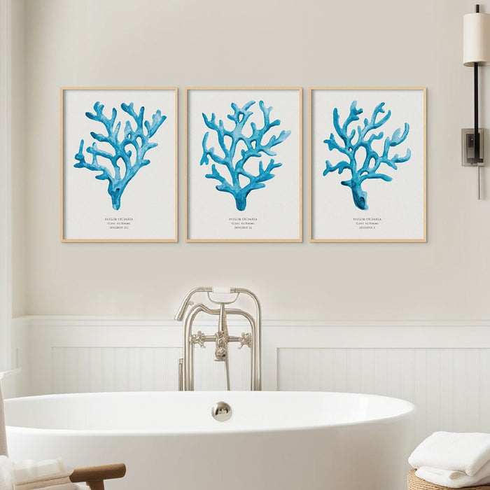set of three coral art prints in bathroom above roll top bath