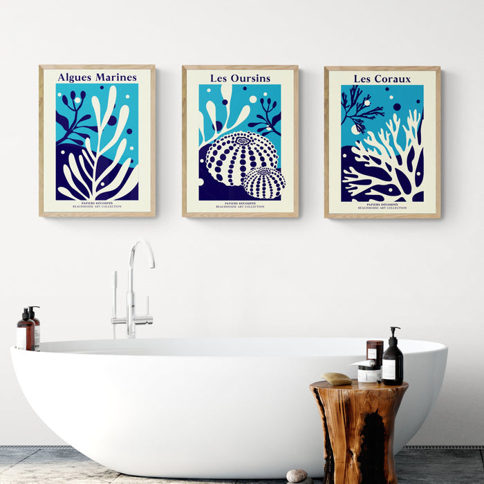 A set of three botanical art prints featuring coral and seaweed designs in a coastal art style, displayed above a bathroom sink.