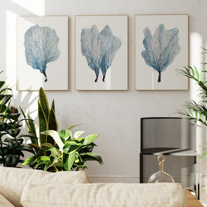 A set of three framed coral art prints displayed on a wall, with a variety of indoor plants in the foreground.