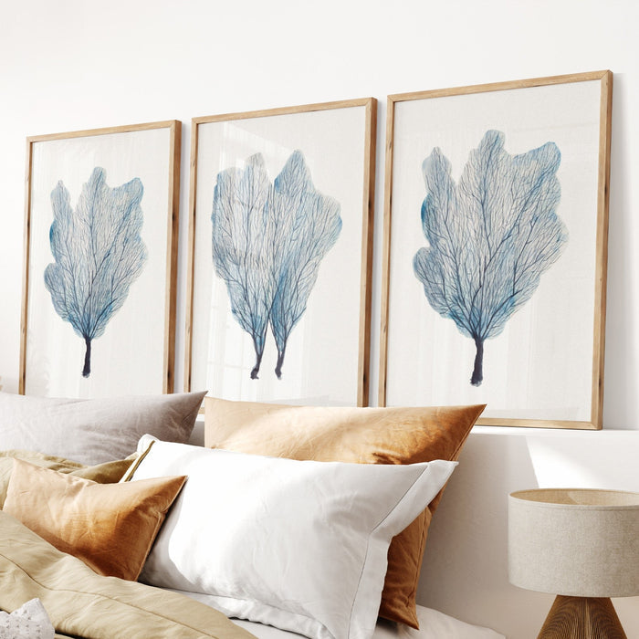 Set of 3 coral art prints on wall in a coastal bedroom.