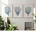 A set of three framed coral art prints displayed on a wall, with a variety of indoor plants in the foreground.