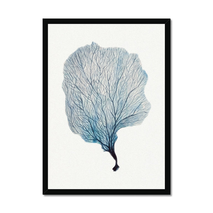 Painting of coral framed with a black frame.