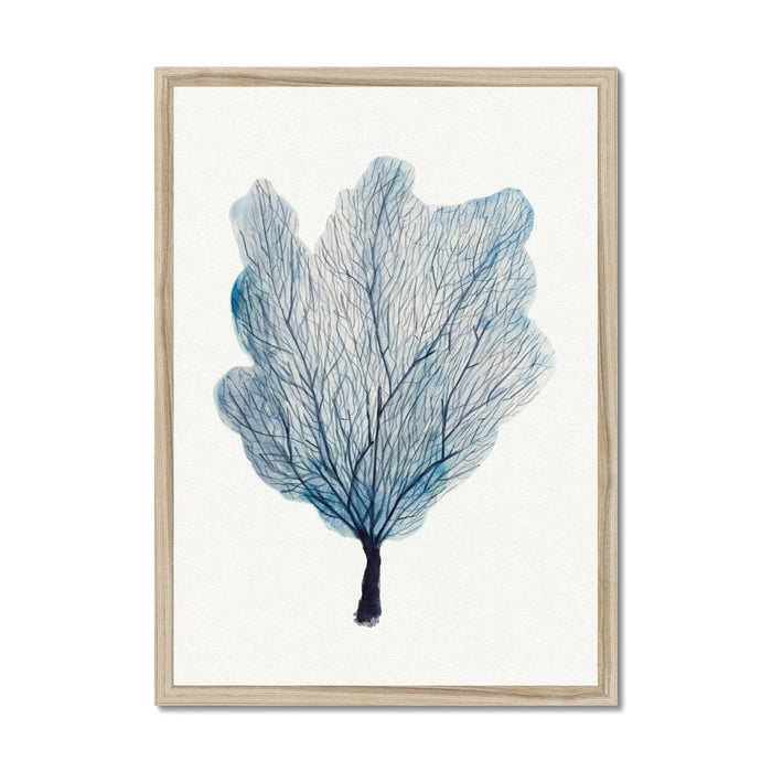 A framed watercolour painting of a blue sea fan coral, with a simple white border and a wooden frame.