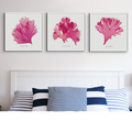 Set of Three Red Seaweed Art Prints Square - Framed Beach House Art