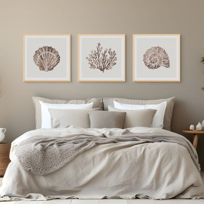 A set of three framed art prints with shell and coral designs in brown colours above bed