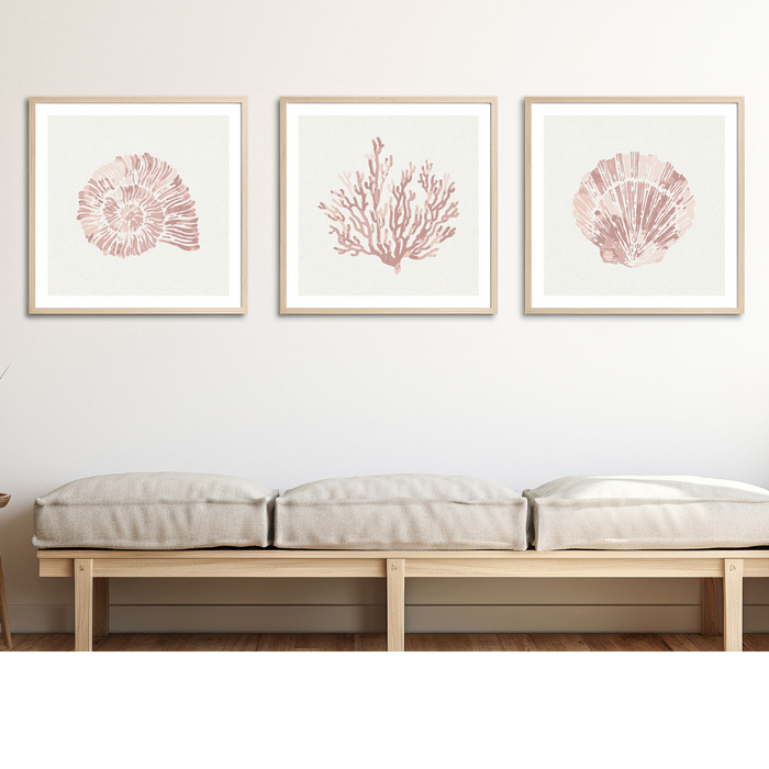 Set of Three Pink Coral and Shell Art Prints  - Unframed