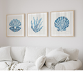 Three framed blue seashell and coral prints hanging above a white sofa in a bright living room.
