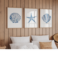 A set of three framed shell prints displayed on a wall over a bed in a bedroom setting, featuring blue and white artwork of shells and a starfish.