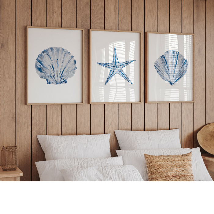 A set of three framed shell prints displayed on a wall over a bed in a bedroom setting, featuring blue and white artwork of shells and a starfish.
