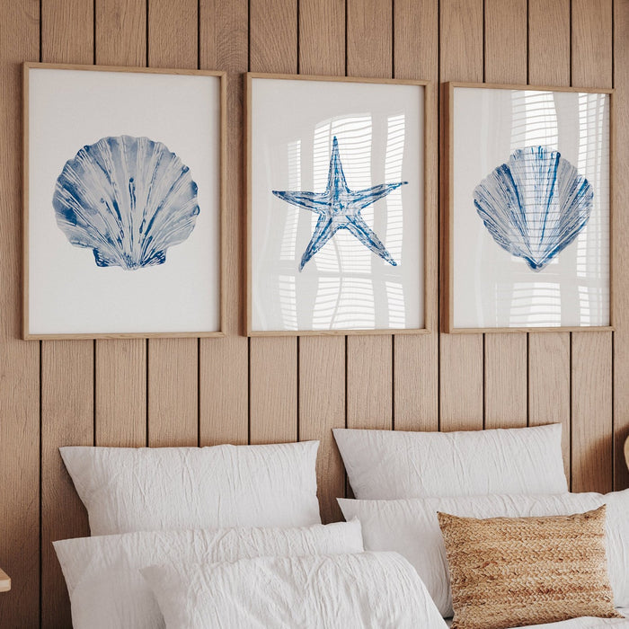 A set of three framed shell prints displayed on a wall over a bed in a bedroom setting, featuring blue and white artwork of shells and a starfish.