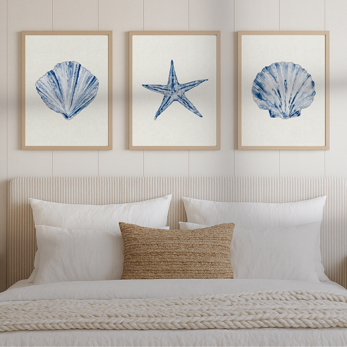 Set of 3 shell prints above the bed head in the bedroom - coastal art