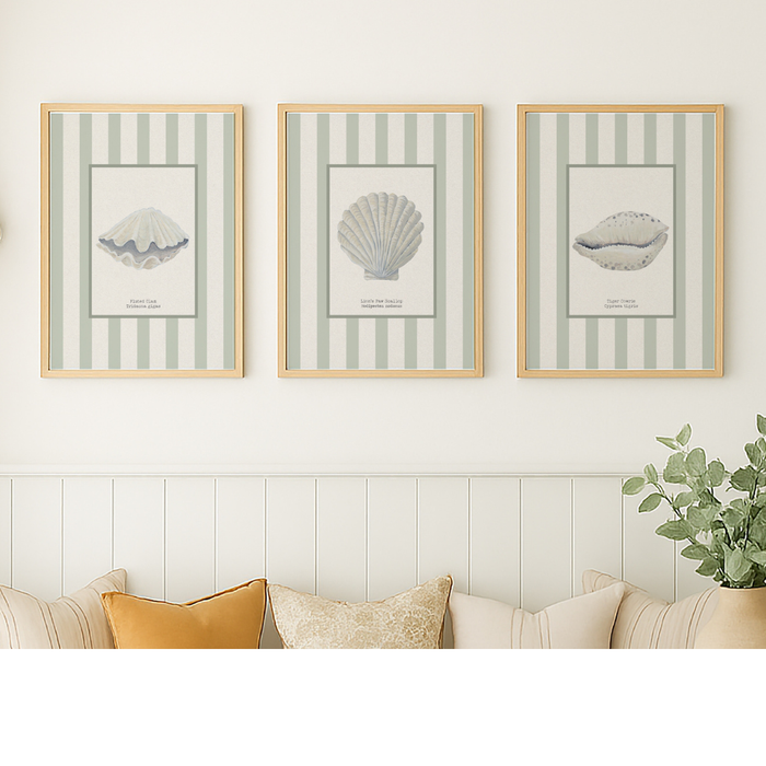 Three framed prints with shell designs on a wall above a sofa.