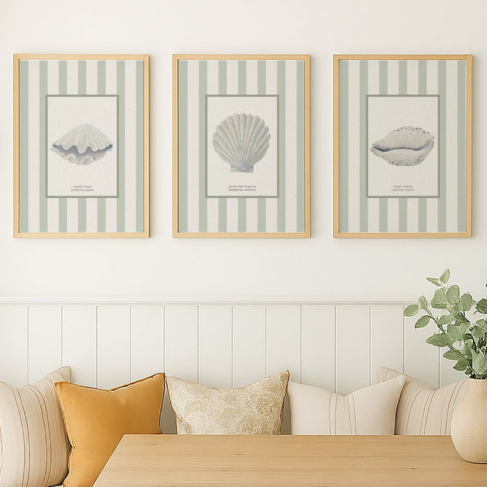 Set of three shell prints. Living room with a sofa, table, and wall art featuring shell designs.