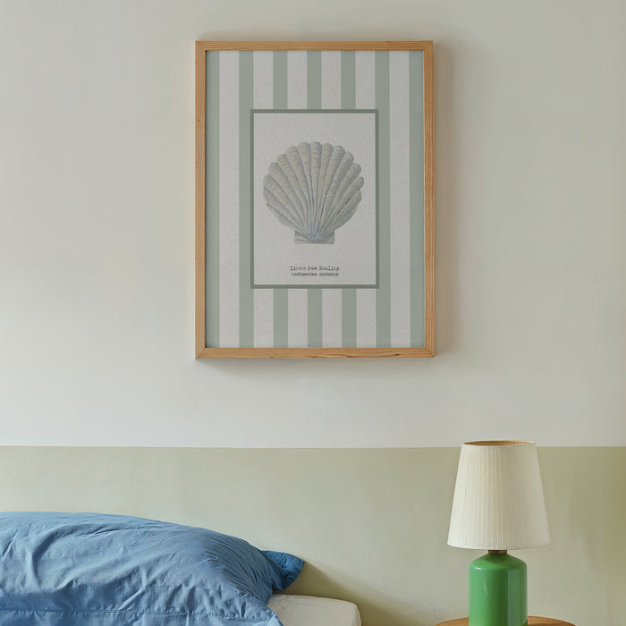 framed scallop shell art print