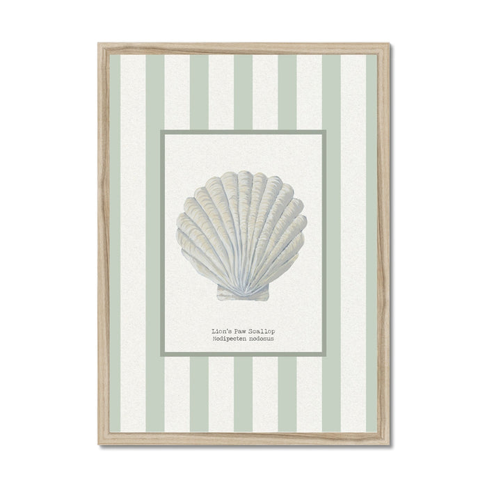 Framed artwork with a shell illustration and striped background