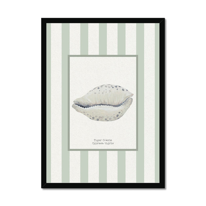 shell art print framed on wall
