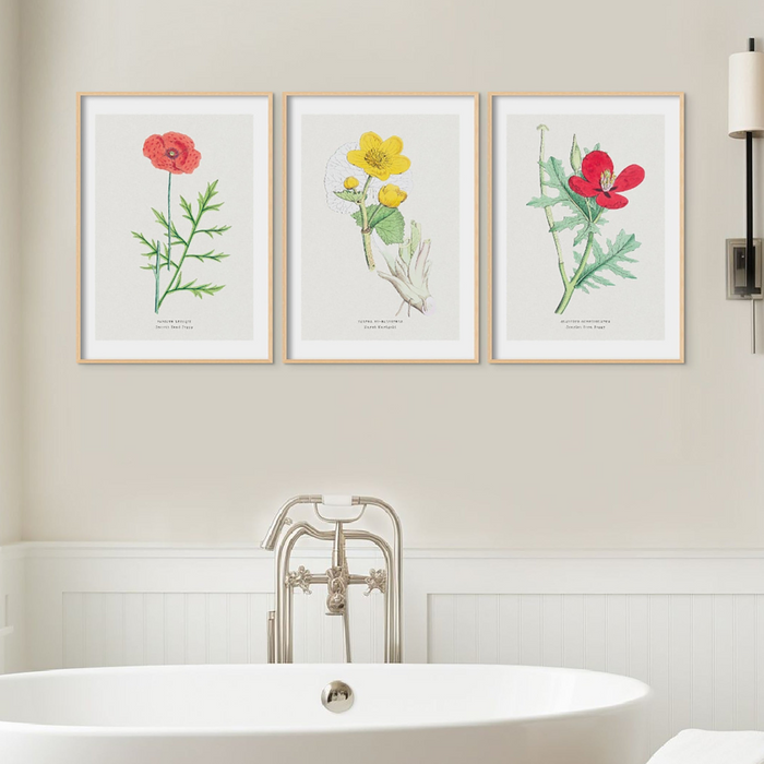 set of vintage flower prints in bathroom above roll top bath.