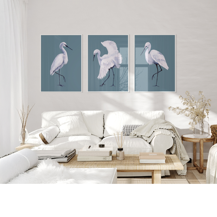 Living room with a white sofa, coffee table, and a set of three framed pictures of birds on the wall.