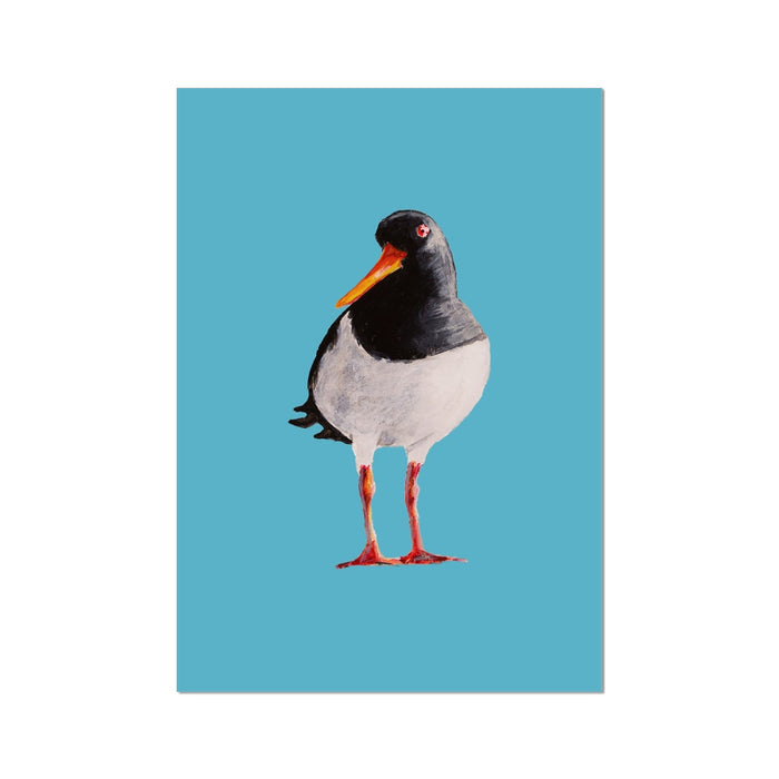 A unframed art print of an Oystercatcher bird with a blue background.