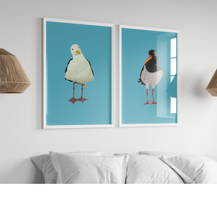 Two framed prints of birds on a wall above a sofa.