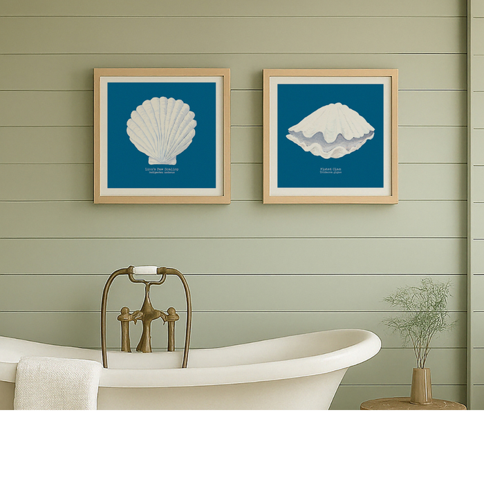 Two framed shell prints on a wall above a bathtub with a decorative faucet.