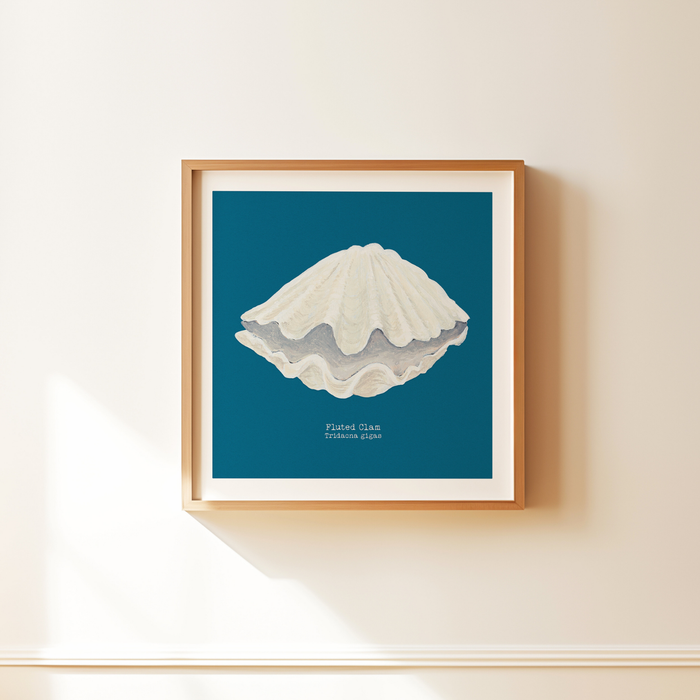 Set of Two Shell Paintings on Blue - Framed