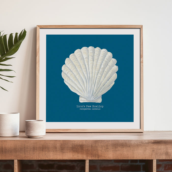 Framed scallop shell art print on shelf in coastal living room.